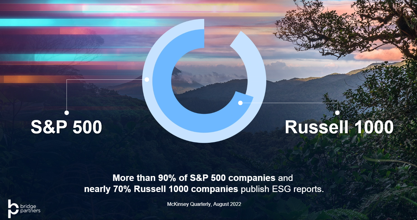 companies that care about sustainability