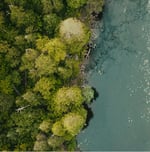 partech-capabilities-2